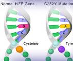 Prédire grâce à l'IA le rôle des mutations génétiques complexes