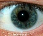 Premier essai français de thérapie génique pour une maladie rare de la vue 