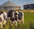 Première en France : une production de biométhane valorise le CO2 pour cultiver des légumes