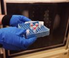 Première mondiale : un simple test sanguin pour détecter certains cancers du poumon