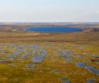 Réchauffement climatique : l'impact majeur des micro-organismes !