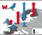 Réchauffement climatique : une réponse rapide mais retardée des oiseaux et papillons d'Europe