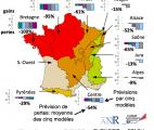 Regards croisés sur l'avenir des forêts françaises face au changement climatique