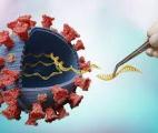Résultats prometteurs pour le vaccin ARN anti-cancer de Tufts