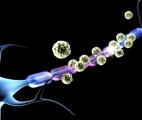 Sclérose en plaques : une nouvelle molécule et un anticorps à l'essai