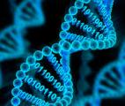 Stocker nos données dans l’ADN des plantes