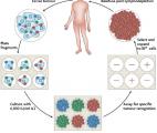 Vers un élargissement de l'utilisation de la thérapie génique dans le traitement de cancers