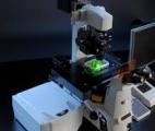Un microscope qui permet au chirurgien de repérer immédiatement les cellules cancéreuses