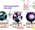 Un nanofilet pour piéger les cellules cancéreuses