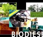 Un nouveau catalyseur enzymatique pour produire du biodiesel