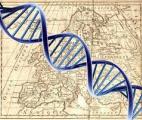 Un nouveau logiciel déduit avec précision l’ascendance continentale à partir de l’ADN et de l’ARN de la tumeur