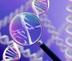 Un nouvel outil de détection rapide des maladies génétiques
