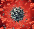 Un point faible dans l’armature du VIH suscite l’espoir d’un vaccin