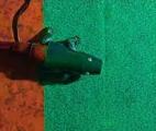 Un robot-caméléon qui change de couleur en temps réel