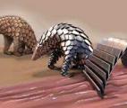 Un robot médical inspiré du Pangolin