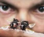 Un robot sauteur qui peut aller partout...