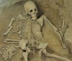 Un squelette de 2 millions d'années le «plus complet jamais découvert»