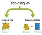 Un substitut au plastique PET fabriqué à partir de biomasse