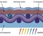 Un textile solaire à base de polymères