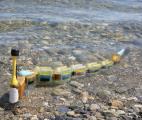 Une anguille robotique qui traque les sources de pollution dans l'eau