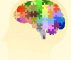 Une dérégulation transcriptomique étendue identifiée dans le cerveau des autistes