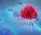 Une manipulation génétique des cellules cancéreuses du côlon pour renforcer les effets de la chimiothérapie