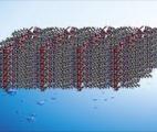 Une membrane biomimétique plus performante pour dessaler l’eau de mer