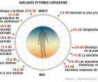 Une molécule biologique qui cale son activité sur les cycles circadiens