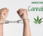 Une molécule contre l’addiction au cannabis