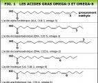 Une mutation génétique du récepteur des acides gras oméga-3 favorise l'obésité