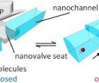 Une nanovalve à molécule unique pourrait révolutionner la chimie