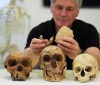 Une nouvelle espèce d'homme préhistorique peut-être découverte en Israël