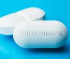 Une nouvelle étude confirme l'efficacité du molnupiravir sur le Covid-19