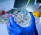 Une nouvelle molécule pour lutter contre la résistance aux antimicrobiens