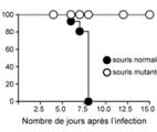 Une nouvelle voie pour stimuler le système immunitaire et lutter contre les infections