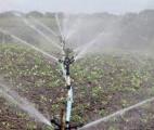 Une première en France : des vergers arrosés avec l’eau traitée d’une station d’épuration