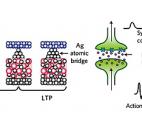 Une synapse artificielle  à l'essai !