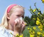 Une thérapie à base d'ARN messager pourrait soigner les allergies