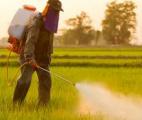 Une vaste étude confirme les risques de cancer encourus par les agriculteurs français