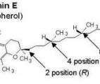 Vectoriser de la vitamine E dans le cerveau pour lutter contre la Maladie d'Alzheimer