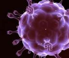 VIH : de premiers essais prometteurs sur un vaccin contre le virus