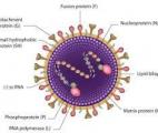 Virus Respiratoire Syncytial : premier vaccin saisonnier pour les nourrissons