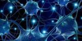 Chaque puce d'Intel sera bientôt un processeur à réseau neuronal Chaque puce d'Intel sera bientôt un processeur à réseau neuronal