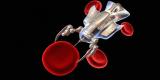 De minuscules robots de la taille d’un cheveu parviennent à marcher à quatre pattes De minuscules robots de la taille d’un cheveu parviennent à marcher à quatre pattes