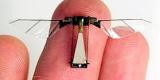 Des micro-robots pouvant sauter comme des insectes Des micro-robots pouvant sauter comme des insectes
