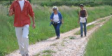 L’activité physique, même modérée, améliore nettement la survie pour tous les cancers ! L’activité physique, même modérée, améliore nettement la survie pour tous les cancers !