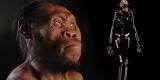 Le petit cerveau étonnant d'Homo naledi… Le petit cerveau étonnant d'Homo naledi…