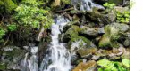 Les ruisseaux de montagnes émettent une quantité de CO2 inattendue Les ruisseaux de montagnes émettent une quantité de CO2 inattendue