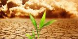 Réchauffement climatique : la Terre va perdre jusqu’à 10 % de ses animaux et ses plantes d'ici 2050 Réchauffement climatique : la Terre va perdre jusqu’à 10 % de ses animaux et ses plantes d'ici 2050