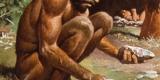 Sapiens fabriquait déjà des vêtements il y a 120 000 ans Sapiens fabriquait déjà des vêtements il y a 120 000 ans